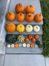 Load image into Gallery viewer, Pumpkin Porches
