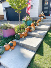 Load image into Gallery viewer, Pumpkin Porches
