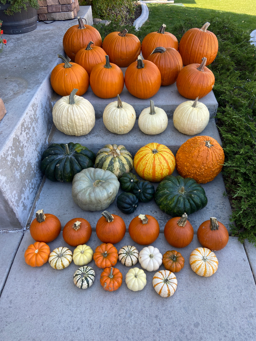 Pumpkin Porches