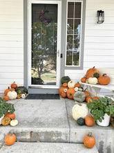 Load image into Gallery viewer, Pumpkin Porches
