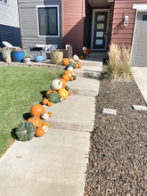 Load image into Gallery viewer, Pumpkin Porches
